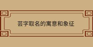 芸意思名字|芸字取名的寓意和象征，带芸字的好听的名字